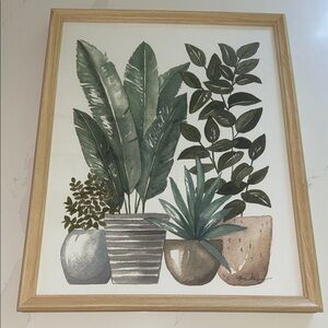 Framed Botanical Art Print